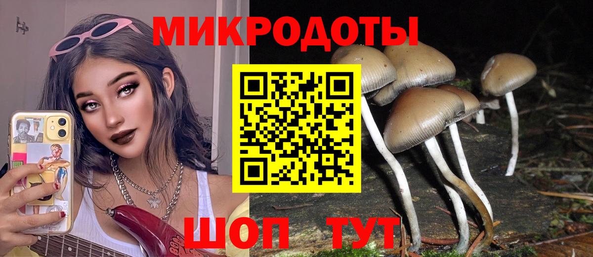 Галлюциногенные грибы Magic Shrooms Артём